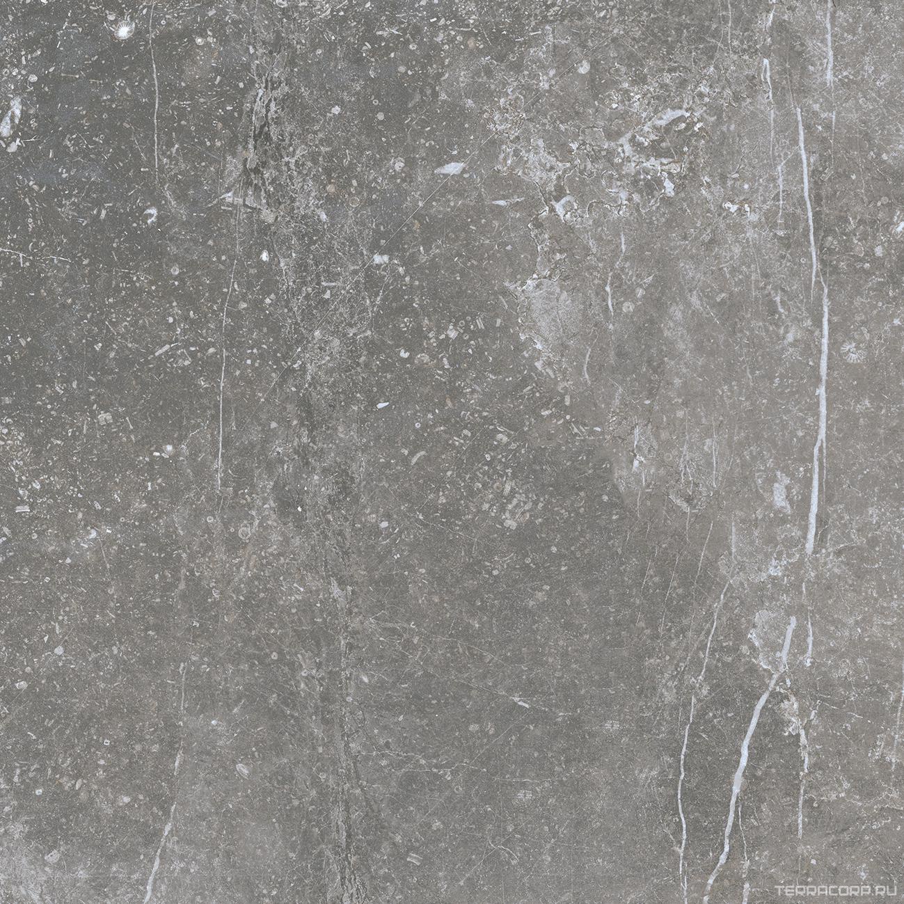 Керамогранит Benadresa Pietra Antica Grigio 80x80 Серый, фото 5