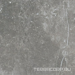 Pietra Antica Grigio 80x80