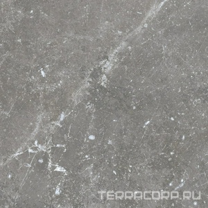 Керамогранит Benadresa Pietra Antica  Grigio 80x80 Серый 