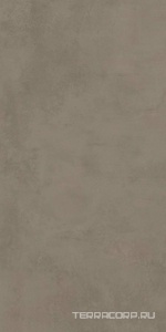 Керамогранит Atlas Concorde Italy Boost Pro  Taupe 60x120  Коричневый 