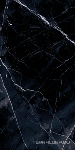 Керамогранит Emil Ceramica Tele Di Marmo Revolution Calacatta Black lapp.ZZ60x120 Комбинированный 