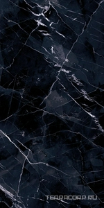 Керамогранит Emil Ceramica Tele Di Marmo Revolution Calacatta Black lapp.ZZ60x120 Комбинированный 