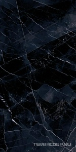 Керамогранит Emil Ceramica Tele Di Marmo Revolution Calacatta Black lapp.ZZ60x120 Комбинированный 