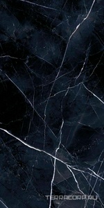 Керамогранит Emil Ceramica Tele Di Marmo Revolution Calacatta Black lapp.ZZ60x120 Комбинированный 