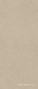 Керамическая плитка Atlas Concorde Italy Boost Natural  Ash 50X120 Бежевый 