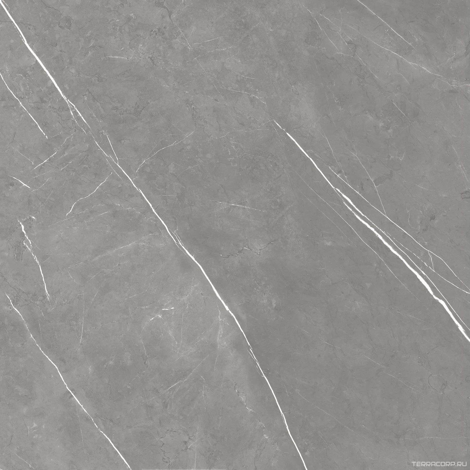 Керамогранит AtlasConcorde Россия FORTE DEI MARMI F.d.M. Elegant G. LASTRA 20mm/Ф.Д.М. Элегант Г. Ластра 20мм Серый, фото 5