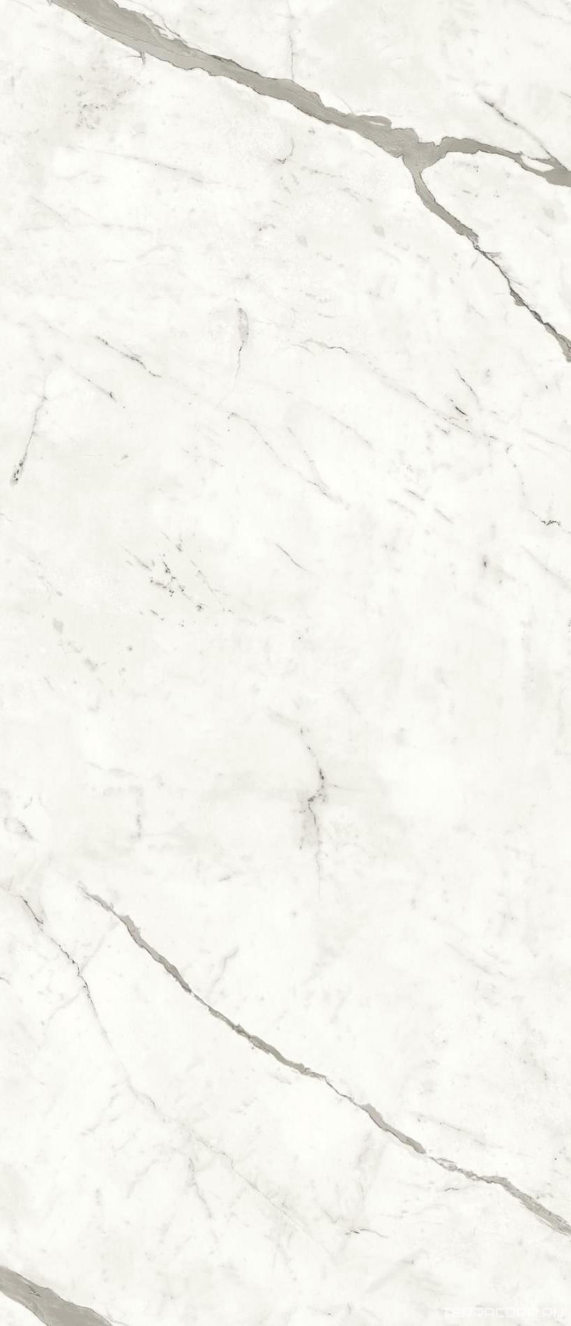 Керамогранит Atlas Concorde Italy Marvel Shine Marvel Statuario Supremo Silk 120x278 Белый, фото 5
