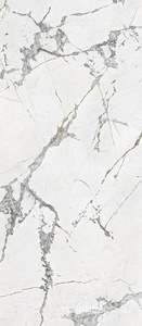 Керамогранит Sadon Canova  Invisible White Lappato 120x280 Белый 