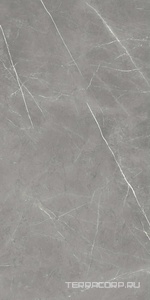 Керамогранит AtlasConcorde Россия FORTE DEI MARMI F.d.M. Elegant G. Rett 60x120 Cer/Ф.Д.М. Элегант Г. Рет 60Х120 Чер Серый 