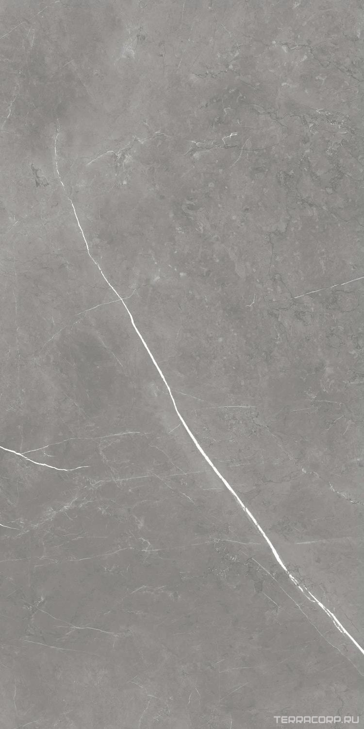 Керамогранит AtlasConcorde Россия FORTE DEI MARMI F.d.M. Elegant G. Rett 60x120 Cer/Ф.Д.М. Элегант Г. Рет 60Х120 Чер Серый, фото 4