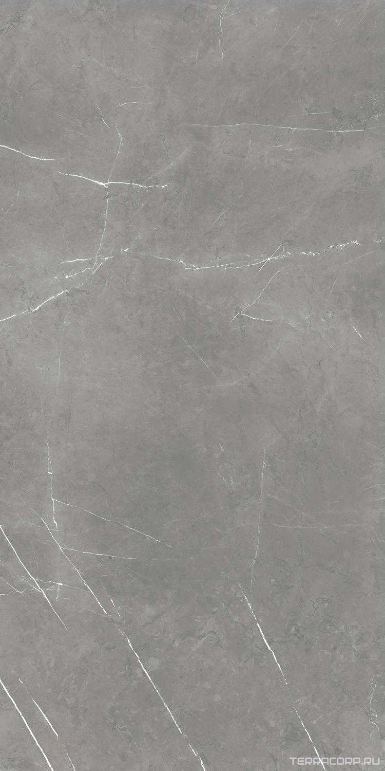 Керамогранит AtlasConcorde Россия FORTE DEI MARMI F.d.M. Elegant G. Rett 60x120 Cer/Ф.Д.М. Элегант Г. Рет 60Х120 Чер Серый, фото 3