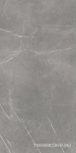 Керамогранит AtlasConcorde Россия FORTE DEI MARMI F.d.M. Elegant G. Rett 60x120 Cer/Ф.Д.М. Элегант Г. Рет 60Х120 Чер Серый 