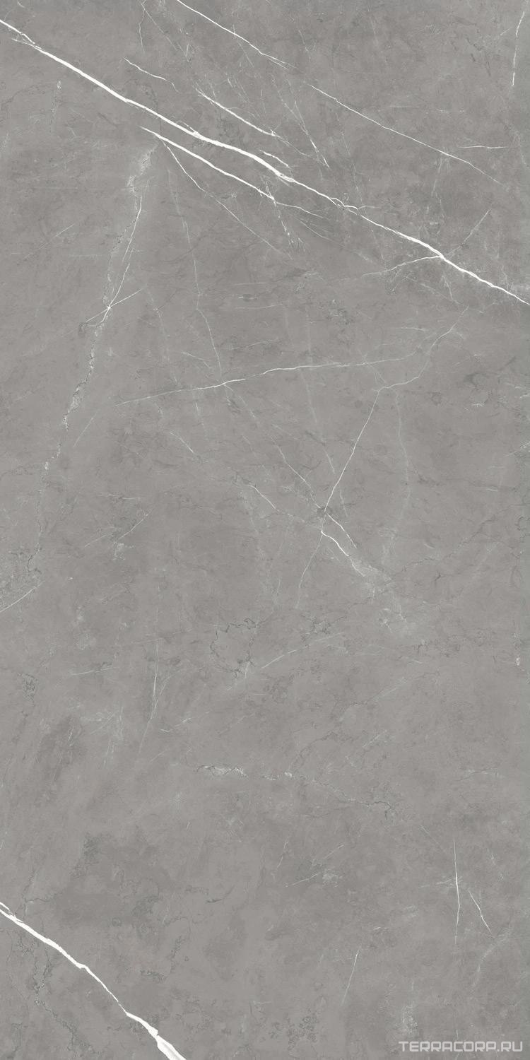 Керамогранит AtlasConcorde Россия FORTE DEI MARMI F.d.M. Elegant G. Rett 60x120 Cer/Ф.Д.М. Элегант Г. Рет 60Х120 Чер Серый, фото 6
