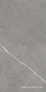 Керамогранит AtlasConcorde Россия FORTE DEI MARMI F.d.M. Elegant G. Rett 60x120 Cer/Ф.Д.М. Элегант Г. Рет 60Х120 Чер Серый 