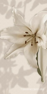 Керамическая плитка Gardenia Orchidea Gioia  Decoro Lilium (6pz) ZZ60x120 Комбинированный 