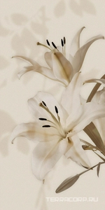 Керамическая плитка Gardenia Orchidea Gioia  Decoro Lilium (6pz) ZZ60x120 Комбинированный 