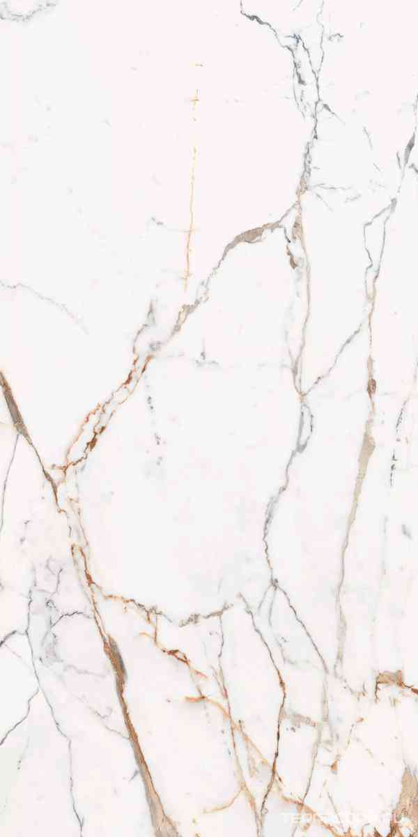 Les Origines Or Glossy 120x240