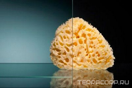 Закаленное стекло 6 мм 340*1880 прозрачное 4отв (ЗАПАСНАЯ), ZZ Vegas Glass AFP AFA100+AFPfis100+AFP110-1