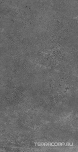 Керамогранит Dado Ceramica Gare du Nord Gare Graphite 60x120 Серый 