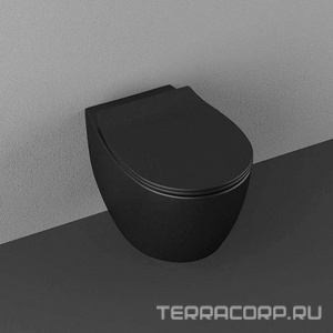 Сиденье для унитаза, с микролифтом, (цв.черный матовый),  ZZ Allen Brau Fantasy 4.11005.31