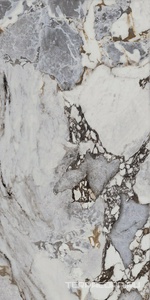 Керамогранит La Faenza Aesthetica AE UNI6 12 LP 60x120 Серый 