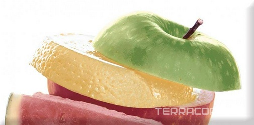 Decor Fruit Mosaic 01 XX |10x20