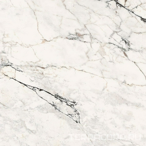 Керамогранит La Faenza Aesthetica AE PAO6 120 RM (п.п.)ZZ 120x120 Белый 