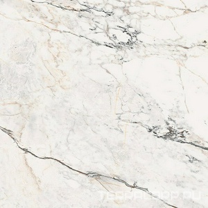 Керамогранит La Faenza Aesthetica AE PAO6 120 RM (п.п.)ZZ 120x120 Белый 