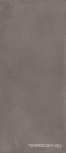 Керамогранит Imola Azuma  AZMA6 278DG RM 120x278 Серый 