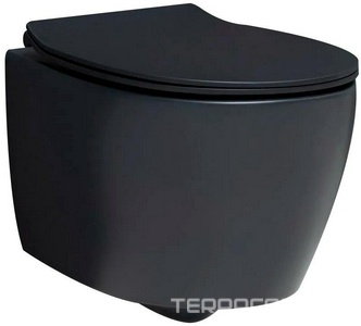 Унитаз подвесной 510х363мм, безободковый, без сиденья, (цв.черный матовый),  ZZ Allen Brau Fantasy 4.11004.31