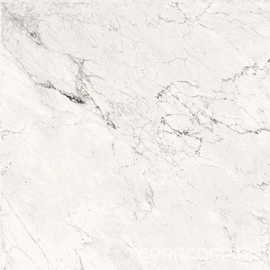 Керамогранит La Faenza Aesthetica AE CAL6 120 RM (п.п.)ZZ 120x120 Белый 