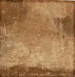Cotto nat |50x50