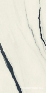 Керамогранит AtlasConcorde Россия FORTE DEI MARMI F.d.M. Panda White Rett 60x120 Cer/Ф.Д.М.  Панда Вайт Рет 60Х120 Чер Белый 