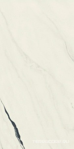 Керамогранит AtlasConcorde Россия FORTE DEI MARMI F.d.M. Panda White Rett 60x120 Cer/Ф.Д.М.  Панда Вайт Рет 60Х120 Чер Белый 