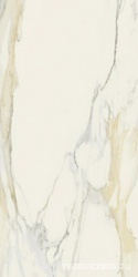 Calacatta Gold Matte ZZ 60x120