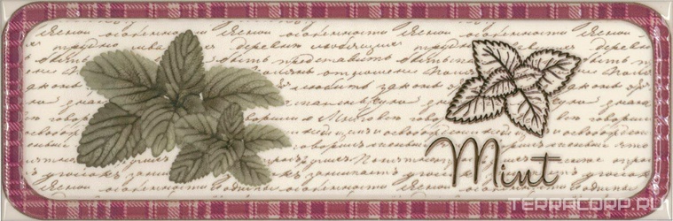 Decor Clasical Herbs Mint KL |10x30