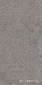 Керамогранит Atlas Concorde Italy Boost Stone  Smoke  60x120  Серый 