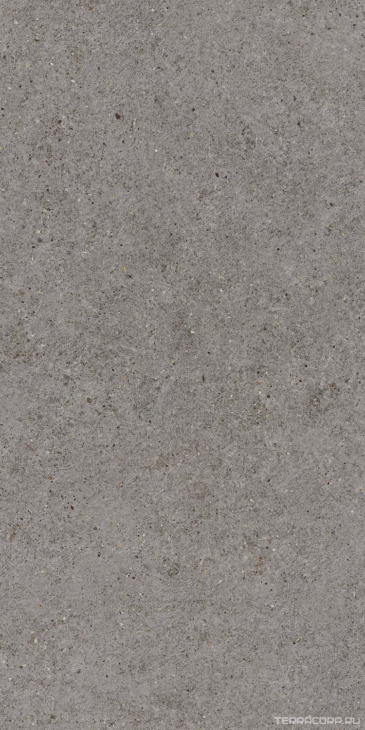Керамогранит Atlas Concorde Italy Boost Stone Smoke 60x120 Серый, фото 5