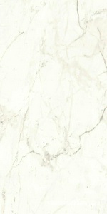 Керамогранит Atlas Concorde Italy Marvel Shine Marvel Calacatta Prestigio Matt 60x120 Белый 