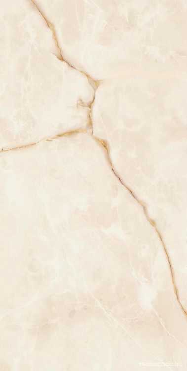 Symphonyx Gold 80x160 Lapp/Симфоникс Голд 80X160 Лап