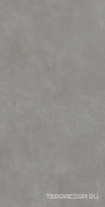 Керамогранит AtlasConcorde Россия RINASCENTE RESIN Rinascente Resin Smoke 80x160/Ринашенте Резин Смок 80Х160 Серый 