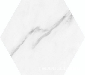 Lincoln M White hexagon 19,8x22,8 XX