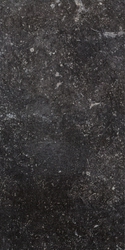 Ardenne Nero 20х40