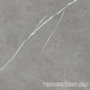 Керамогранит AtlasConcorde Россия FORTE DEI MARMI F.d.M. Elegant G. Rett 120x120/Ф.Д.М. Элегант Г. Рет 120Х120 Серый 