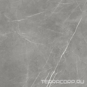 Керамогранит AtlasConcorde Россия FORTE DEI MARMI F.d.M. Elegant G. Rett 120x120/Ф.Д.М. Элегант Г. Рет 120Х120 Серый 