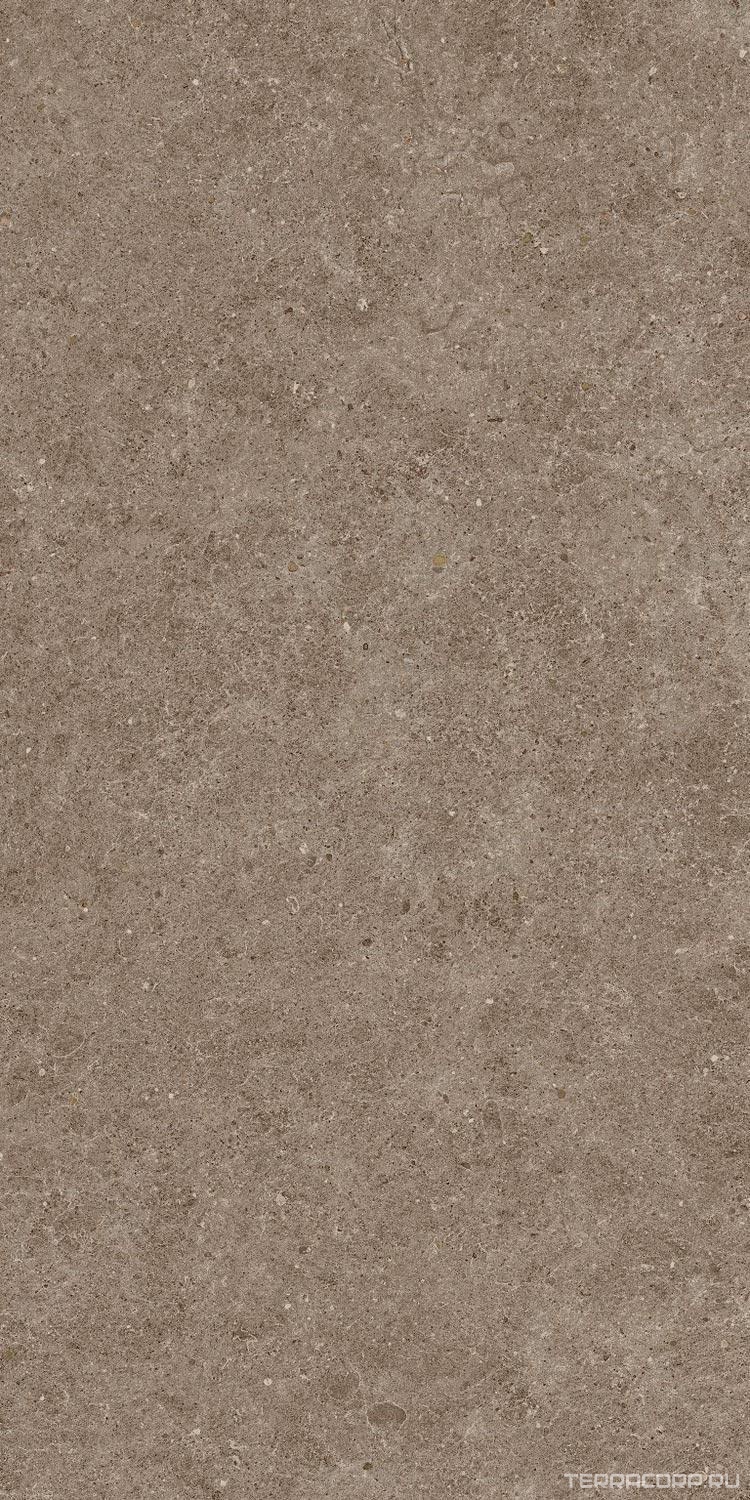 Керамогранит Atlas Concorde Italy Boost Stone Taupe 60x120 Коричневый, фото 6