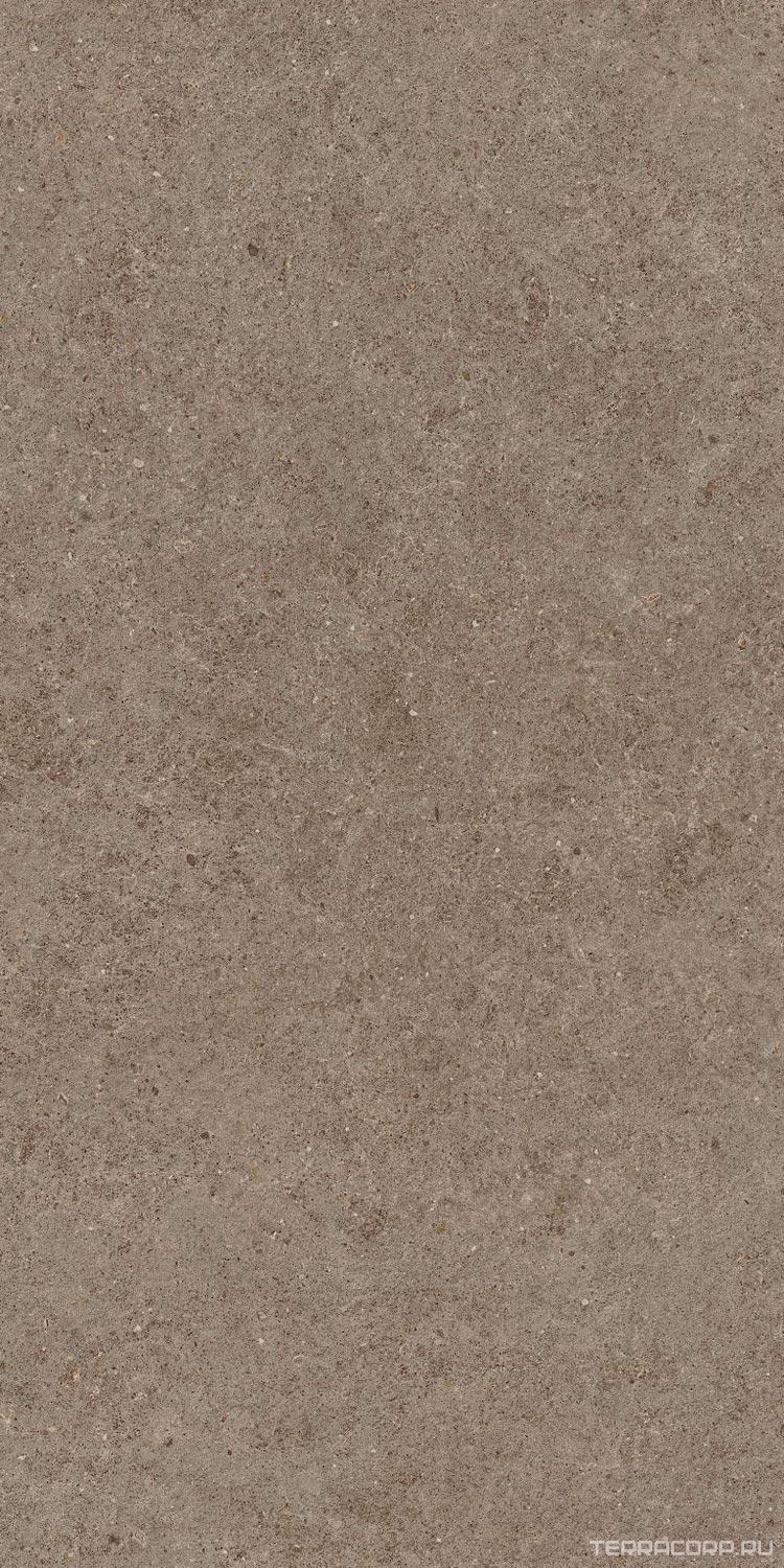 Керамогранит Atlas Concorde Italy Boost Stone Taupe 60x120 Коричневый, фото 5