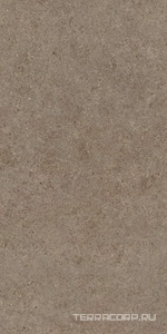 Керамогранит Atlas Concorde Italy Boost Stone  Taupe 60x120  Коричневый 