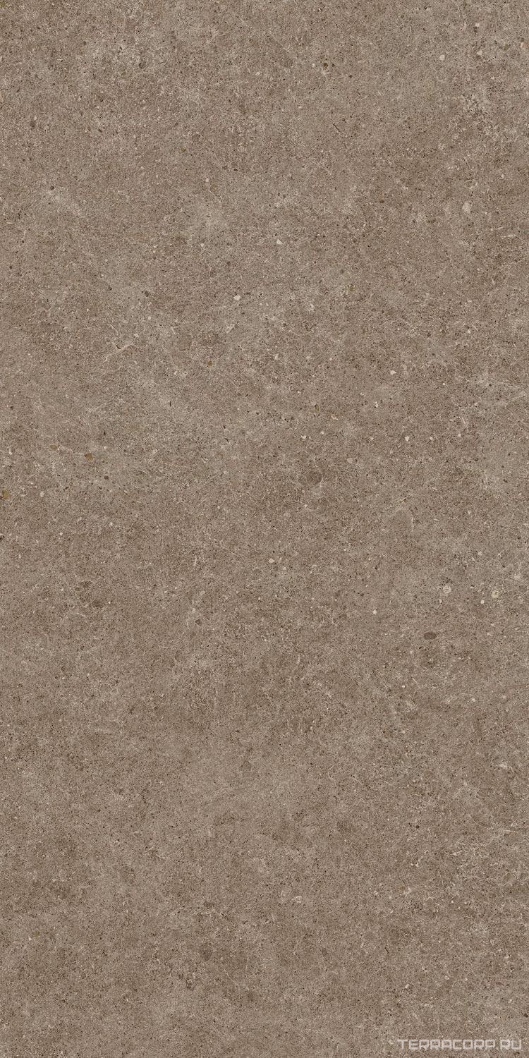 Керамогранит Atlas Concorde Italy Boost Stone Taupe 60x120 Коричневый, фото 7