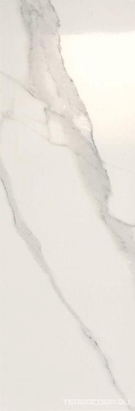 Керамическая плитка FAP Ceramiche Roma Classic Statuario XX30.5x91.5 Белый, фото 3